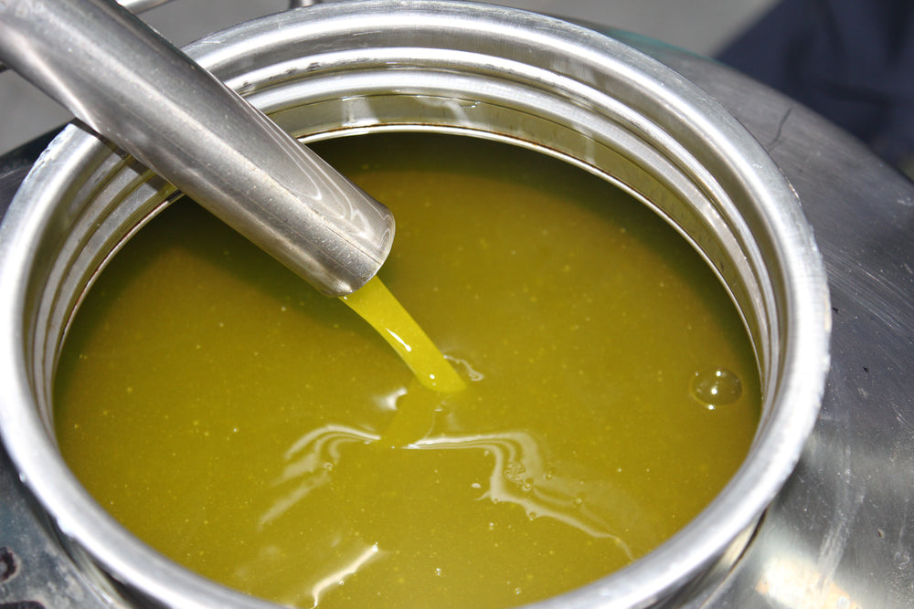 Le olive raccolte con le reti