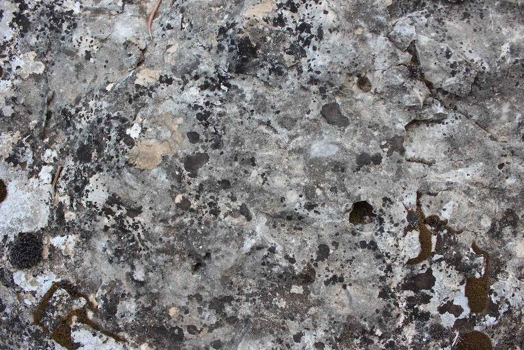 Roccia calcarea del territorio di Sonnino, Agro Pontino