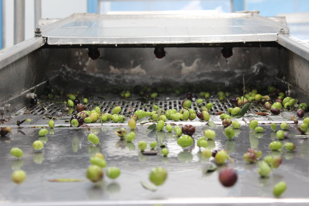 Dettaglio della lavorazione delle olive