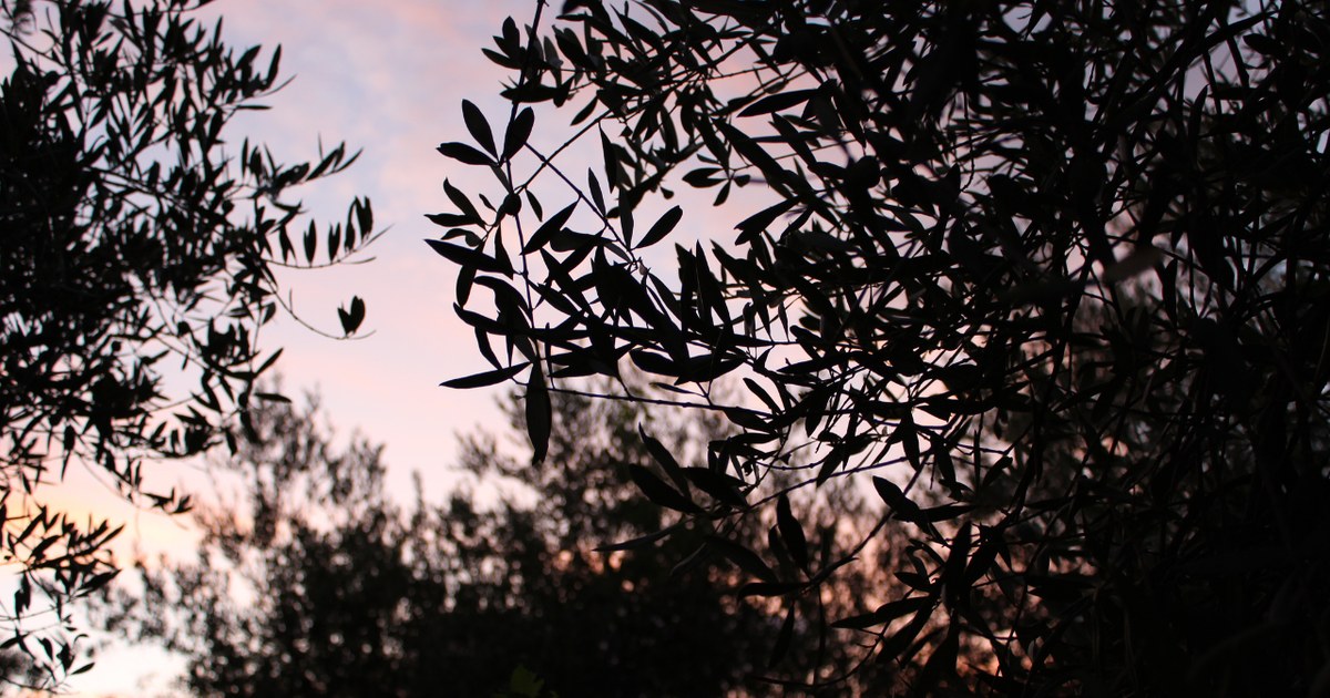 Tramonto sulle colline di Sonnino
